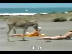 Sovietico uomo film porno trans mature scopare un sacco di donne e farlo fare